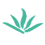 vfights-admin-web-preview.pages.dev favicon